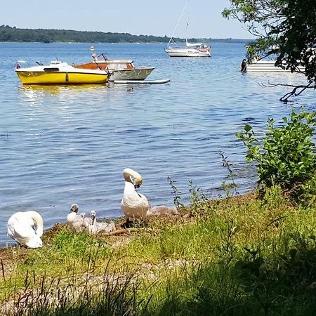 Ferienwohnung Am Schweriner See Raben Steinfeld Eksteriør bilde